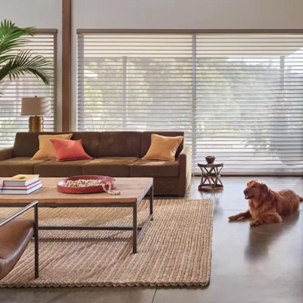 A living room with Silhouette®  shades. A dog lays on the floor.